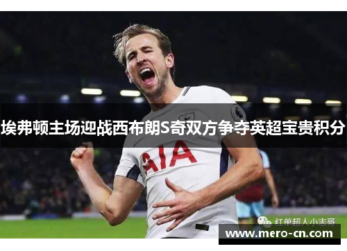 埃弗顿主场迎战西布朗S奇双方争夺英超宝贵积分